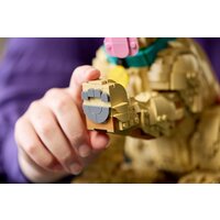 Конструктор LEGO Icons 11384 Щенок золотистого ретривера - Превью изображения №13 — Интернет-магазин Time-Shop