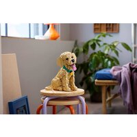 Конструктор LEGO Icons 11384 Щенок золотистого ретривера - Превью изображения №16 — Интернет-магазин Time-Shop
