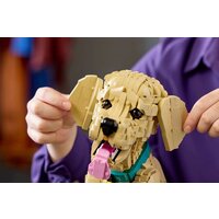Конструктор LEGO Icons 11384 Щенок золотистого ретривера - Превью изображения №14 — Интернет-магазин Time-Shop