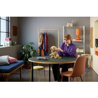 Конструктор LEGO Icons 11384 Щенок золотистого ретривера - Превью изображения №11 — Интернет-магазин Time-Shop