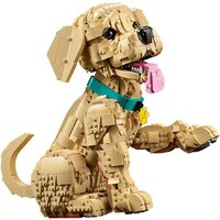 Конструктор LEGO Icons 11384 Щенок золотистого ретривера - Превью изображения №3 — Интернет-магазин Time-Shop