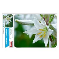 Коврик для мыши Buro BU-M20041 - Превью изображения №2 — Интернет-магазин Time-Shop