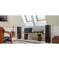 Напольная акустика DALI Oberon 5 Dark Walnut - Превью изображения №4 — Интернет-магазин Time-Shop