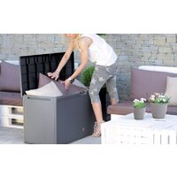 Сундук Prosperplast Boxe Rato Plus MBRP290 S433 (антрацит) - Превью изображения №2 — Интернет-магазин Time-Shop