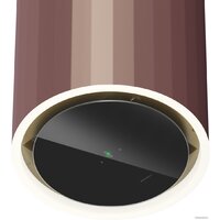 Кухонная вытяжка MAUNFELD Adelaide 39 Wall (розовое золото) - Превью изображения №6 — Интернет-магазин Time-Shop