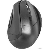 Вертикальная мышь Natec Crake NMY-1071 - Превью изображения №3 — Интернет-магазин Time-Shop