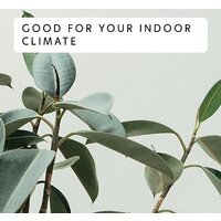 Масляный радиатор Mill AB-H2000DN - Превью изображения №8 — Интернет-магазин Time-Shop