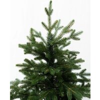 Ель National Tree Company Форест Фор-130 (130 см) - Превью изображения №2 — Интернет-магазин Time-Shop