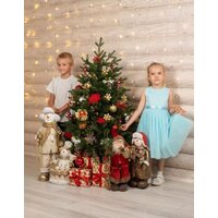 Ель National Tree Company Форест Фор-130 (130 см) - Превью изображения №9 — Интернет-магазин Time-Shop