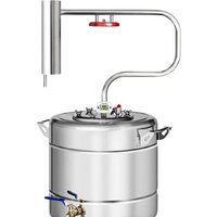 Феникс Шахтер (20л)