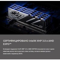 Оперативная память Apacer Panther 2x16ГБ DDR5 5200 МГц AH5U32G52C5227BAA-2 - Превью изображения №9 — Интернет-магазин Time-Shop