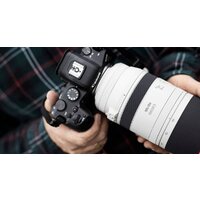 Объектив Canon RF 100-500mm f/4.5-7.1 L IS USM - Превью изображения №7 — Интернет-магазин Time-Shop