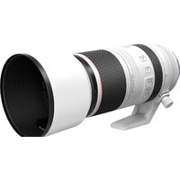 Объектив Canon RF 100-500mm f/4.5-7.1 L IS USM - Превью изображения №6 — Интернет-магазин Time-Shop
