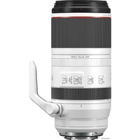 Объектив Canon RF 100-500mm f/4.5-7.1 L IS USM - Превью изображения №4 — Интернет-магазин Time-Shop