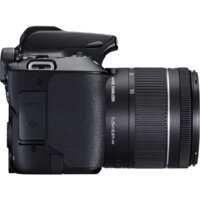 Зеркальный фотоаппарат Canon EOS 250D Kit 18-55 IS STM (черный) - Превью изображения №8 — Интернет-магазин Time-Shop