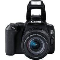 Зеркальный фотоаппарат Canon EOS 250D Kit 18-55 IS STM (черный) - Превью изображения №10 — Интернет-магазин Time-Shop