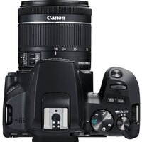 Зеркальный фотоаппарат Canon EOS 250D Kit 18-55 IS STM (черный) - Превью изображения №9 — Интернет-магазин Time-Shop