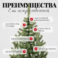 Пихта Erbis Jodla 220 - Превью изображения №5 — Интернет-магазин Time-Shop