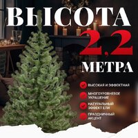 Пихта Erbis Jodla 220 - Превью изображения №2 — Интернет-магазин Time-Shop