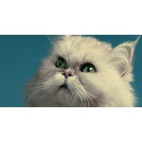 Фотообои ФабрикаФресок Кот на крыше 473270 (300x270) - Превью изображения №2 — Интернет-магазин Time-Shop