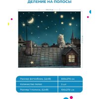 Фотообои ФабрикаФресок Кот на крыше 473270 (300x270) - Превью изображения №6 — Интернет-магазин Time-Shop