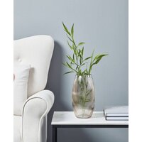 Eglo Ambalabe 421228 (стекло, прозрачный)