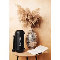 Беспроводная колонка Canyon BSP-7 - Превью изображения №18 — Интернет-магазин Time-Shop