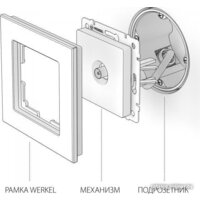 Розетка телевизионная Werkel W1184006 (серебряный) - Превью изображения №2 — Интернет-магазин Time-Shop
