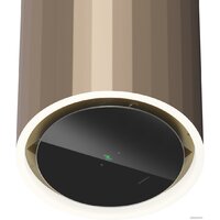 Кухонная вытяжка MAUNFELD Adelaide 39 Wall (золотистый) - Превью изображения №6 — Интернет-магазин Time-Shop