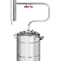 Феникс Шахтер (12л)