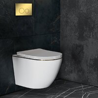 Унитаз подвесной Roxen Antares Gold в комплекте с инсталляцией StounFix Dual Fresh 6 в 1 968092 (кнопка: золото глянцевое ) - Превью изображения №10 — Интернет-магазин Time-Shop