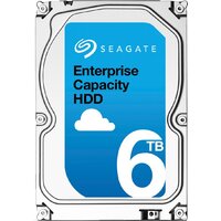 Seagate Enterprise Capacity 6TB (ST6000NM0095)