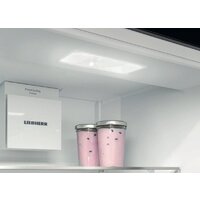 Холодильник Liebherr CNsfd 5204 Pure - Превью изображения №19 — Интернет-магазин Time-Shop