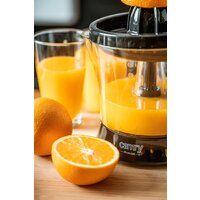 Соковыжималка CAMRY CR 4008 - Превью изображения №11 — Интернет-магазин Time-Shop