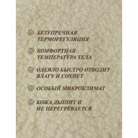 Одеяло Lanatex ОДМ 012 022 (170x205см) - Превью изображения №5 — Интернет-магазин Time-Shop