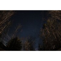 Объектив Sigma 15mm F1.4 DG DN DIAGONAL FISHEYE Art для Sony E - Превью изображения №15 — Интернет-магазин Time-Shop