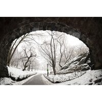 Объектив Sigma 15mm F1.4 DG DN DIAGONAL FISHEYE Art для Sony E - Превью изображения №11 — Интернет-магазин Time-Shop