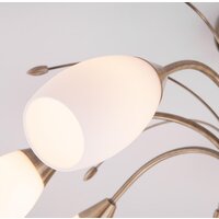 Подвесная люстра Евросвет Ginevra 30280/8 (античная бронза) - Превью изображения №3 — Интернет-магазин Time-Shop