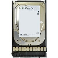 HP 300GB (507127-B21)