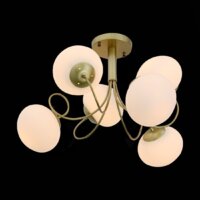 Люстра средней высоты Evoluce SL717.202.06 - Превью изображения №3 — Интернет-магазин Time-Shop