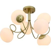 Evoluce SL717.202.06