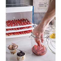 Сушилка для овощей и фруктов StarWind SFD6430 - Превью изображения №8 — Интернет-магазин Time-Shop