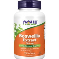Now Foods Boswellia Extract (90 капсул)