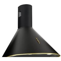 Akpo Dandys 60 WK-4 (черный/золотистый)