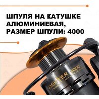 Рыболовная катушка Ryobi Fighter 4000 - Превью изображения №8 — Интернет-магазин Time-Shop