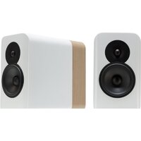 Q Acoustics Concept 300 (белый/дуб)