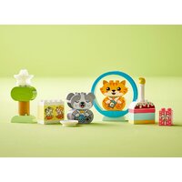 Конструктор LEGO Duplo 10977 Мой первый щенок и котёнок и их звуки - Превью изображения №6 — Интернет-магазин Time-Shop