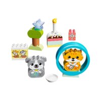 Конструктор LEGO Duplo 10977 Мой первый щенок и котёнок и их звуки - Превью изображения №2 — Интернет-магазин Time-Shop