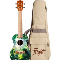 Flight AUC-33 Jungle