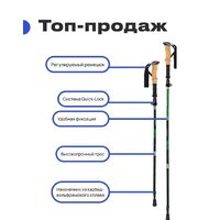 Палки для скандинавской ходьбы RoadLike Compact 368219 (зеленый) - Превью изображения №6 — Интернет-магазин Time-Shop